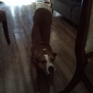 Meet your Posher, Jorge